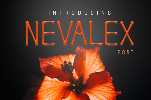 Finding a Font: Nevalex in a Quiet Design Moment