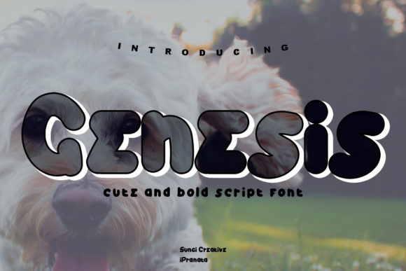 Genesis: A Friendly Font That Makes Your Brand Feel Polished